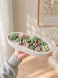 Succulent Serenity Candle